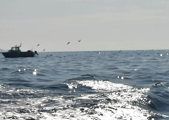 Gite Gites De France - La Corderie *