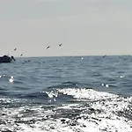 G9304 *